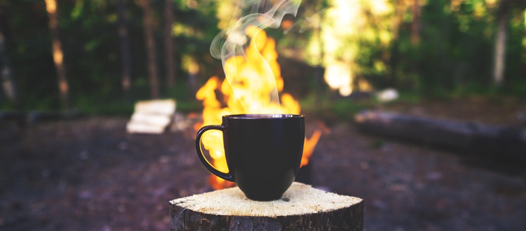 Как организовать работу горячей линии